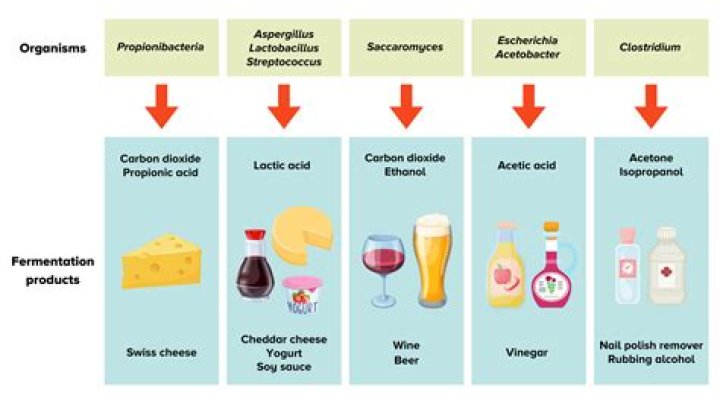 What type of fermentation occurs in vinegar?